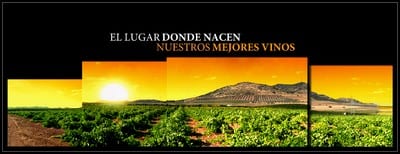 Bodegas Ferca, el lugar donde nacen nuestros mejores vinos