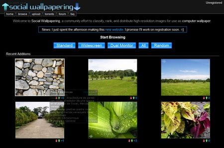 Social Wallpapering