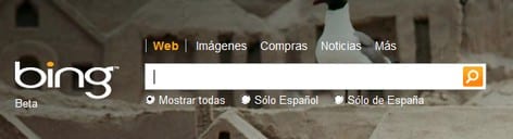bing buscador