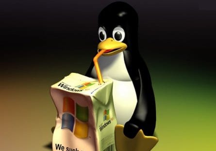 windows linux